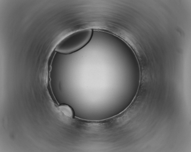 X0000111431132200907131217