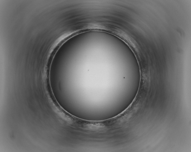 X0000111431133200907131217