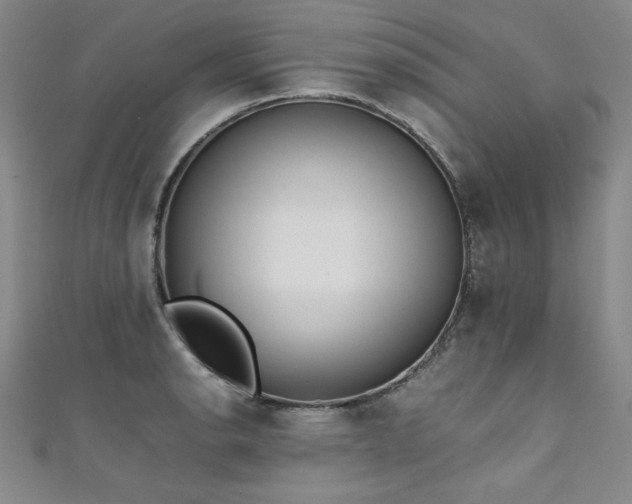 X0000111431134200907131217