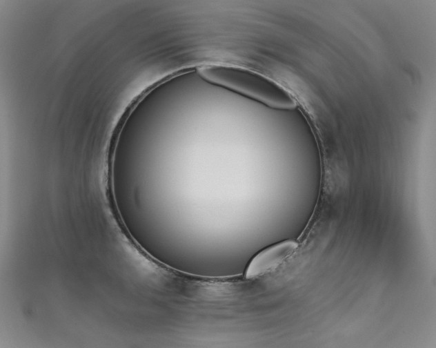 X0000111431136200907131217