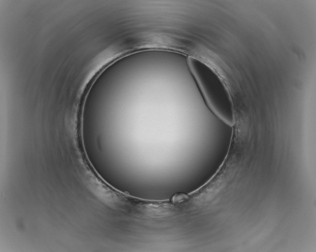 X0000111431138200907131217