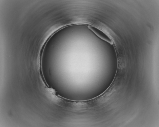 X0000111431140200907131217