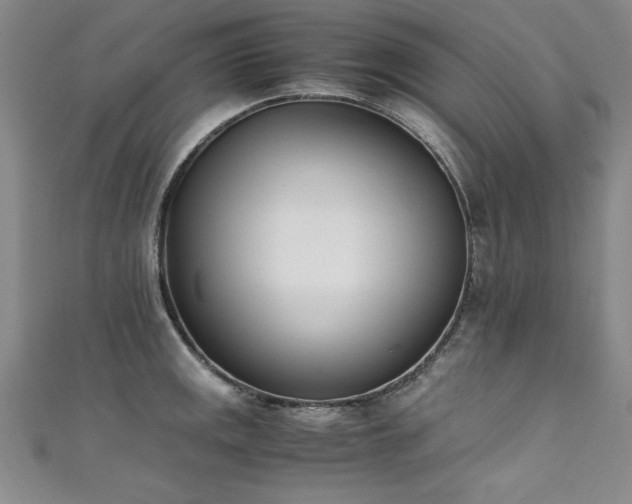 X0000111431141200907131217