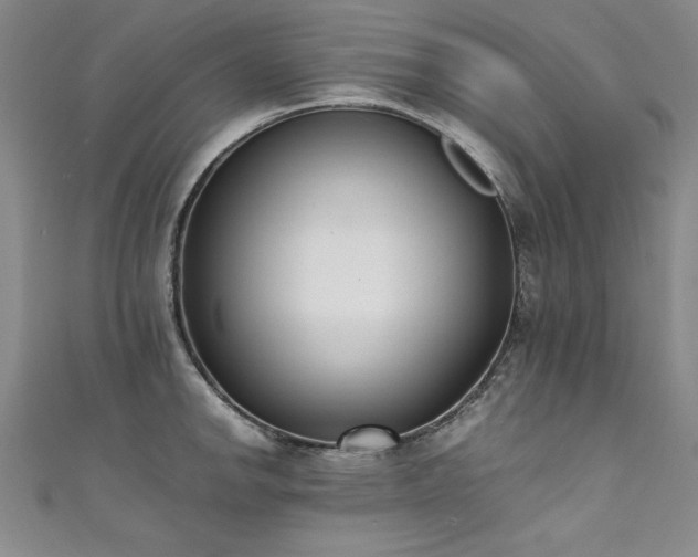 X0000111431142200907131217
