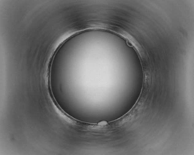 X0000111431143200907131217