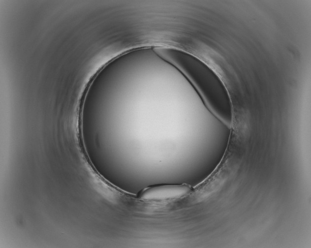 X0000111431144200907131217