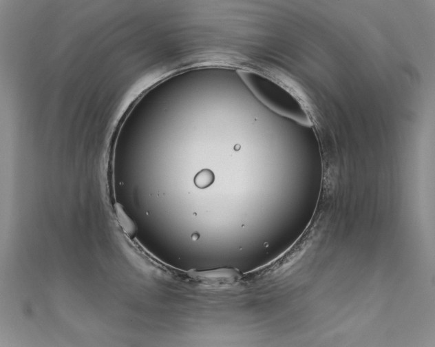 X0000111431146200907131217