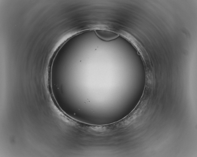 X0000111431147200907131218