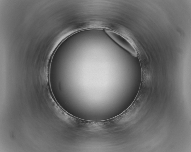 X0000111431148200907131218