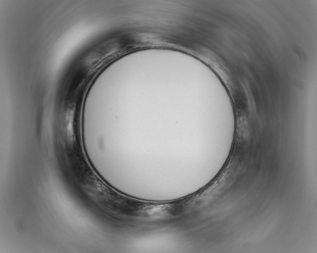 X0000111431150200907131218