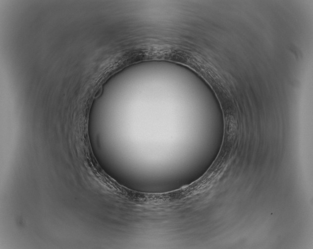 X0000111431153200907131217