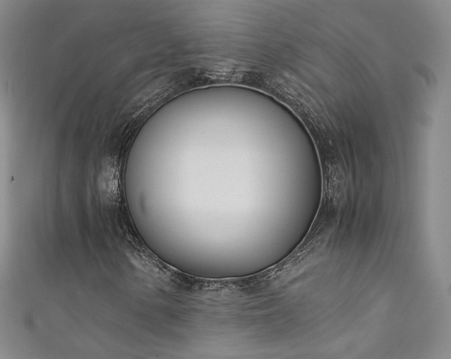 X0000111431154200907131217