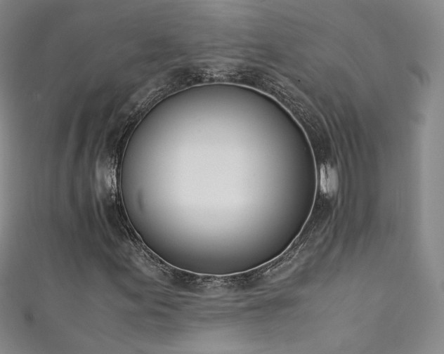 X0000111431155200907131217