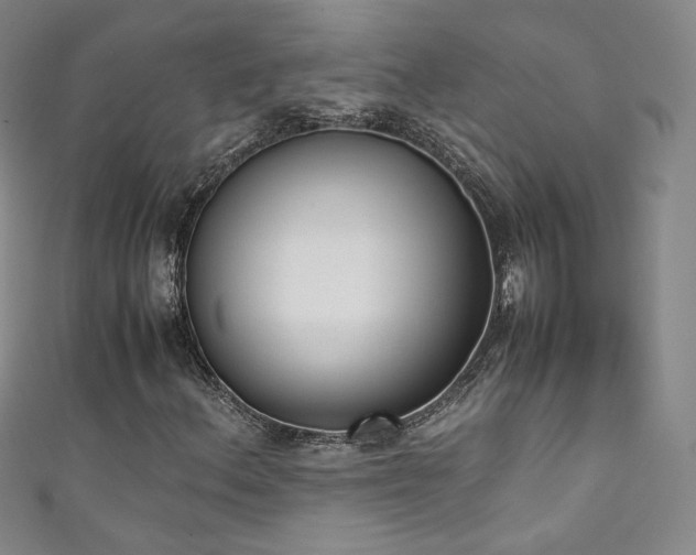 X0000111431156200907131217