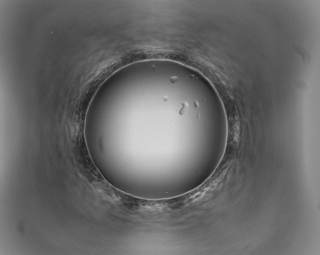 X0000111431157200907131217