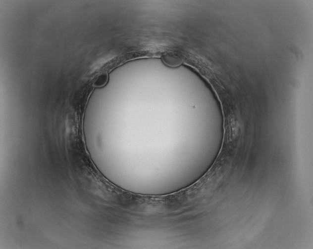 X0000111431158200907131217