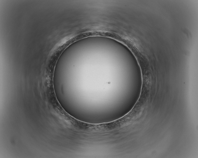 X0000111431159200907131217