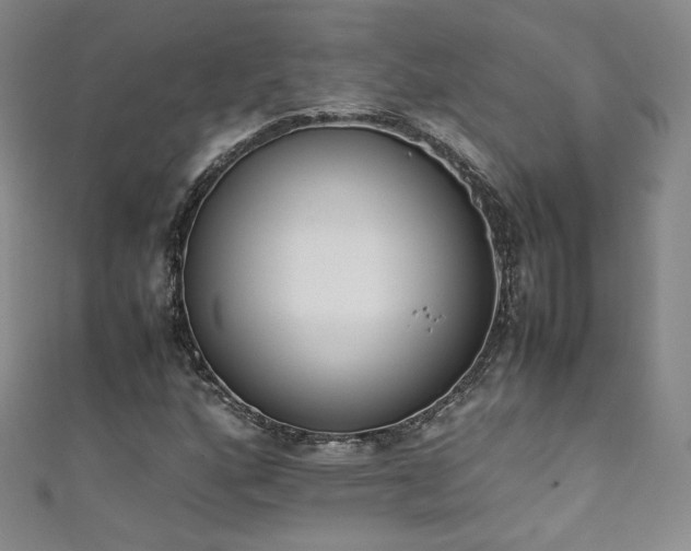 X0000111431160200907131217