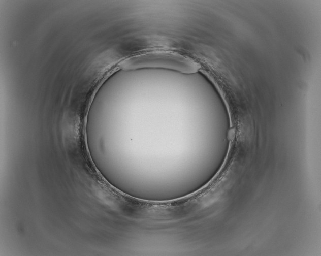 X0000111431161200907131217