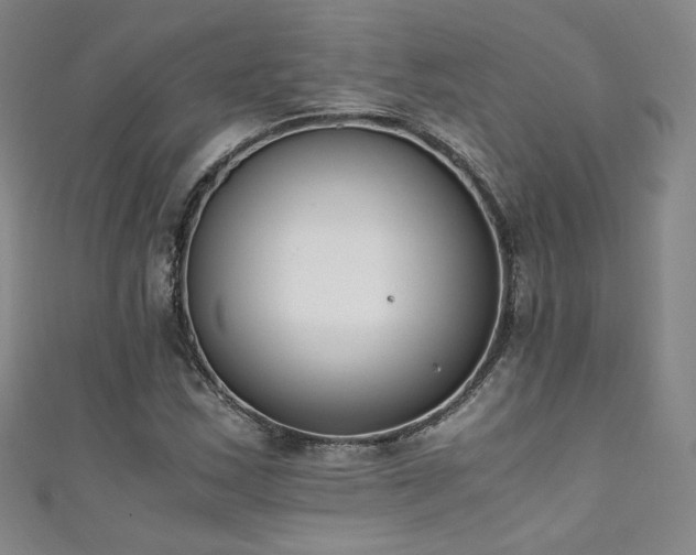 X0000111431163200907131217
