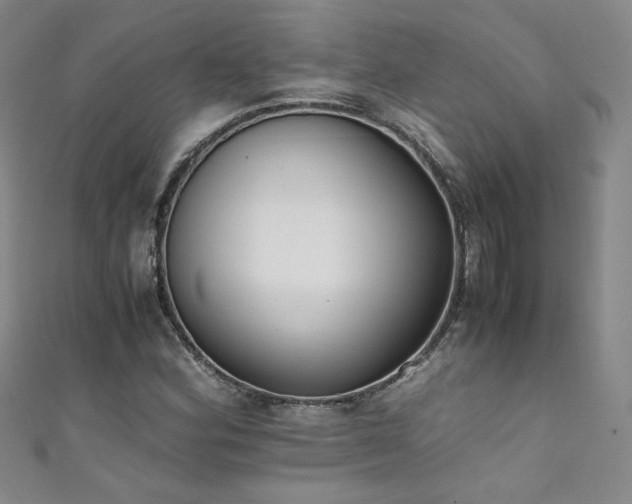 X0000111431164200907131217