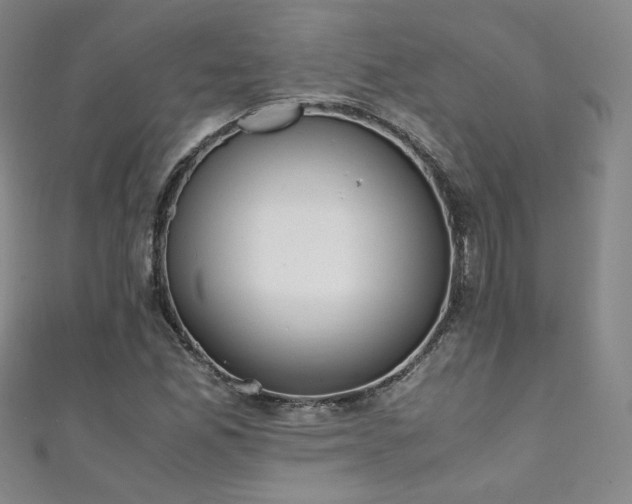 X0000111431165200907131217