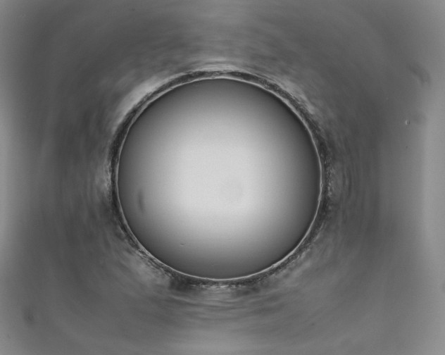 X0000111431167200907131217