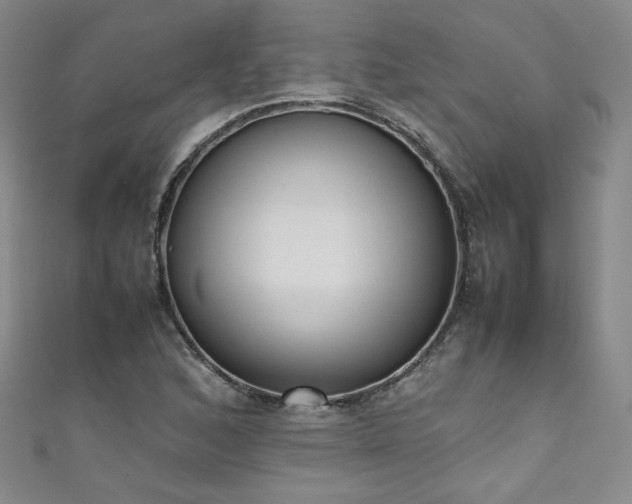 X0000111431168200907131217