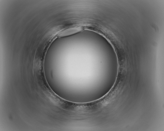 X0000111431169200907131217