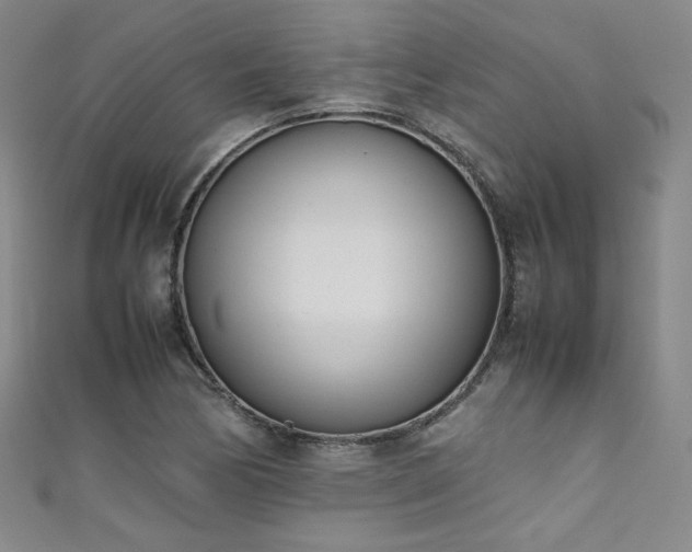 X0000111431170200907131217