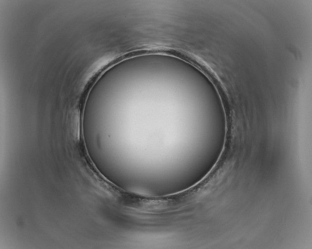 X0000111431171200907131217