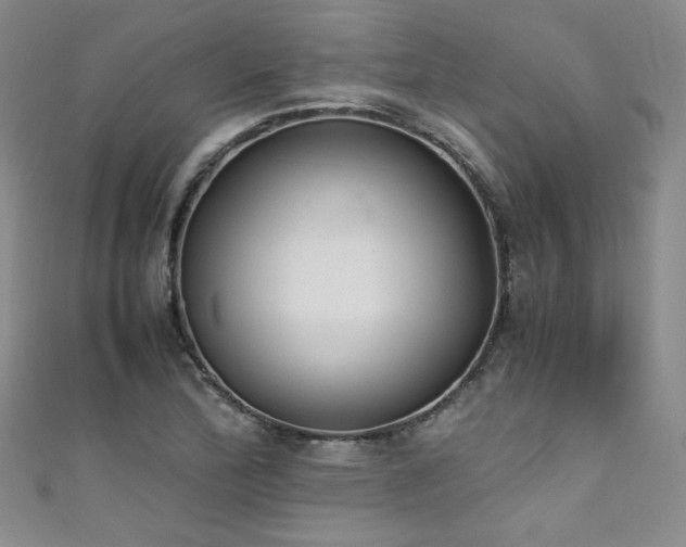 X0000111431172200907131217