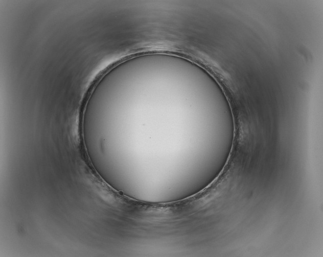 X0000111431174200907131217