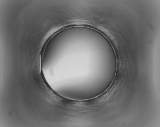X0000111431175200907131217