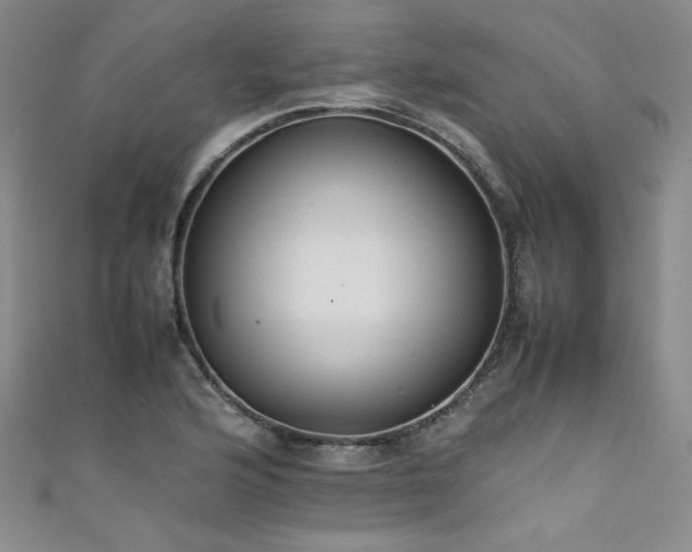 X0000111431176200907131216