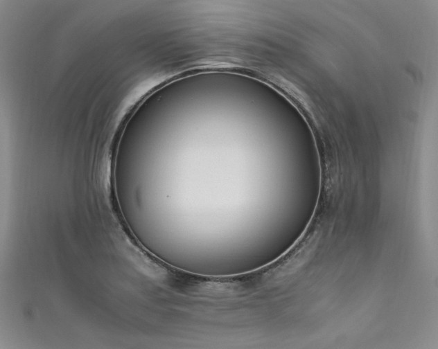 X0000111431179200907131216