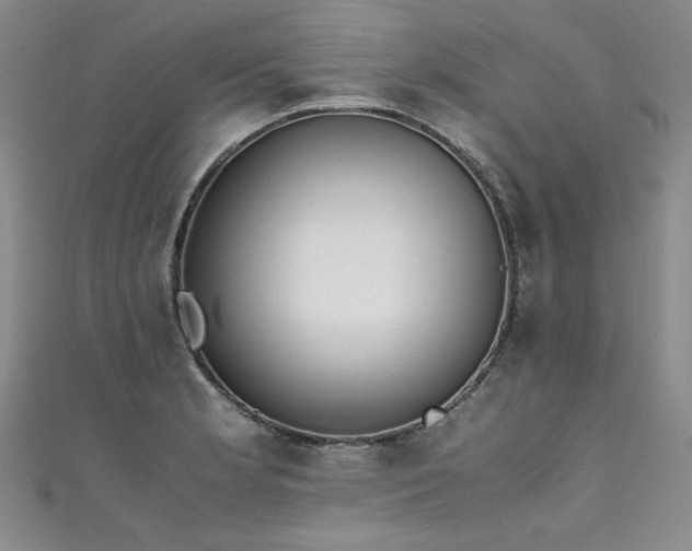 X0000111431181200907131216