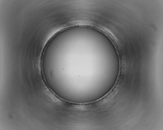 X0000111431182200907131216