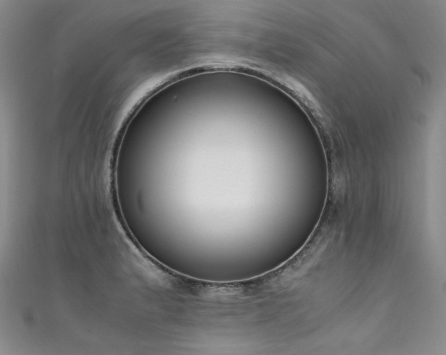 X0000111431183200907131216