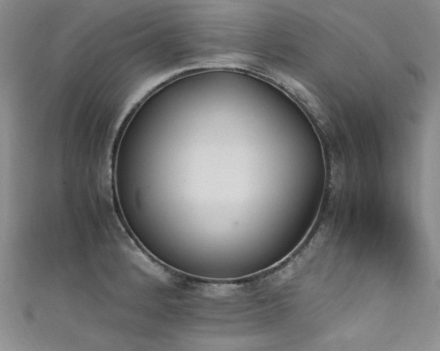 X0000111431184200907131216