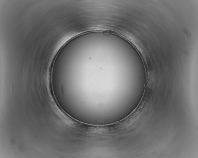 X0000111431187200907131216