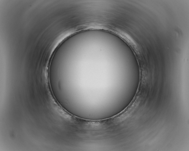 X0000111431190200907131216