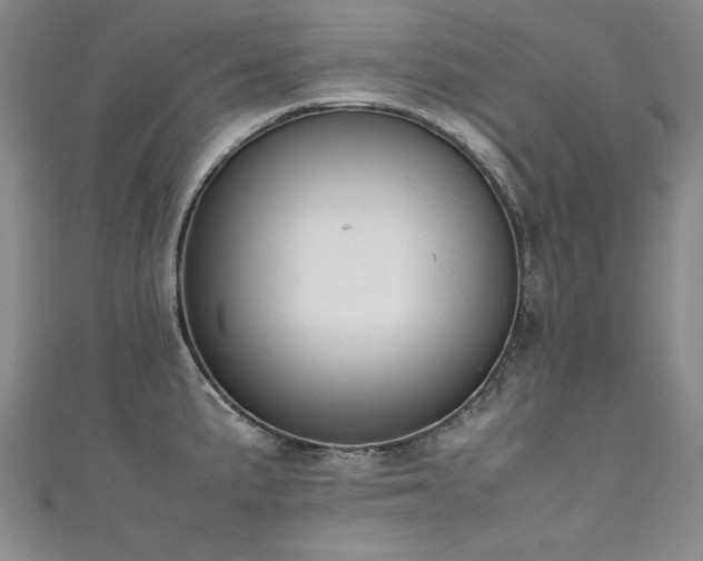 X0000111431191200907131216