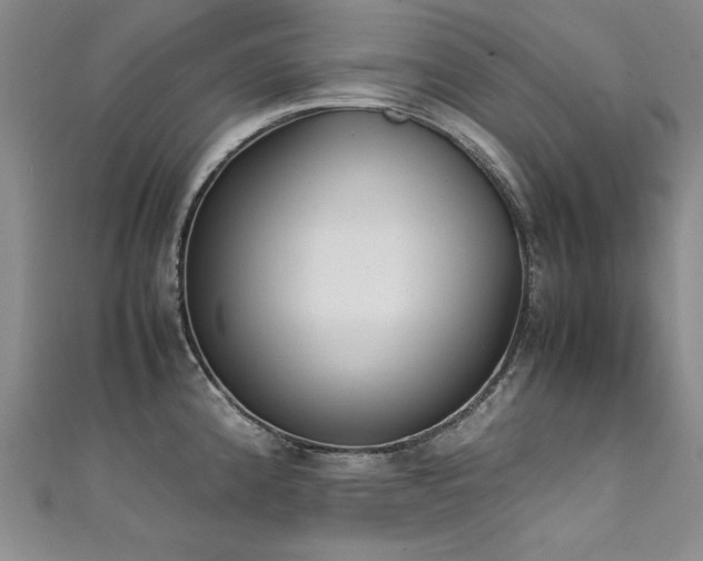 X0000111431192200907131216