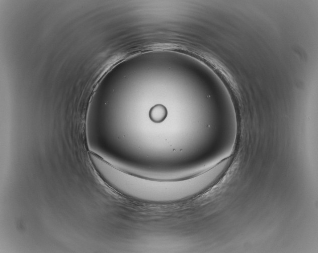 X0000111431193200907131216