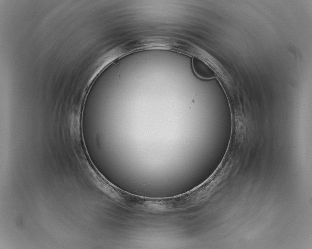 X0000111431194200907131216