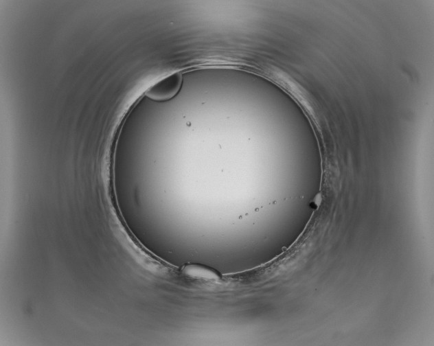 X0000111431195200907131216