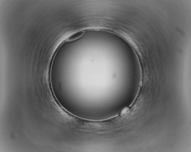 X0000111431197200907131216