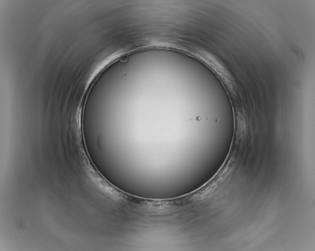 X0000111431198200907131216