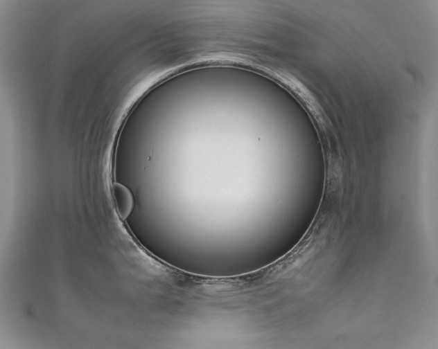 X0000111431199200907131216